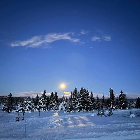 Nordseter Fjellpark, Hyttegrend 외부 사진
